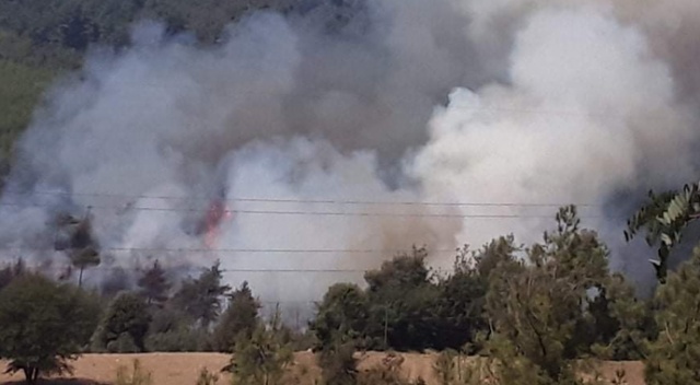 Kozan’da orman yangını çıktı