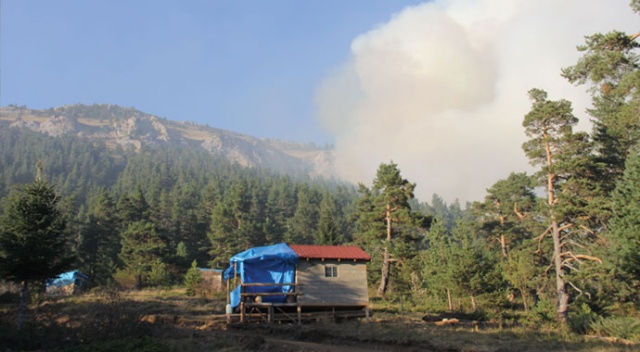 3 gündür devam eden orman yangını yayla evlerine kadar ulaştı