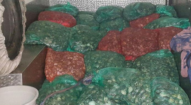 Kaçak kum midyesi avcılarına 93 bin 800 lira para cezası