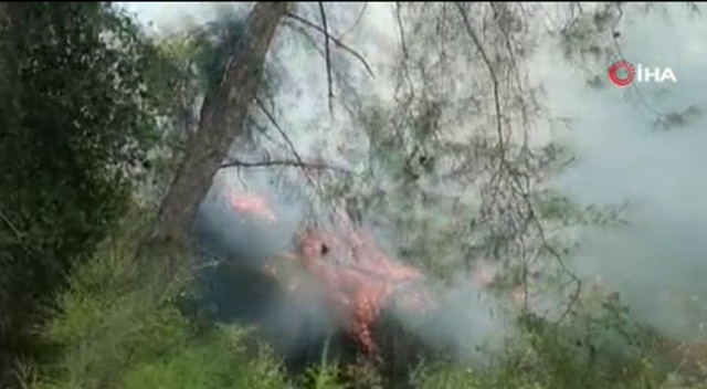Manavgat&#039;ta orman yangını