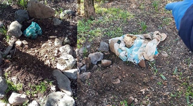 Bebek gömüldüğü sanılan mezarlıktan, köpek cesedi çıktı