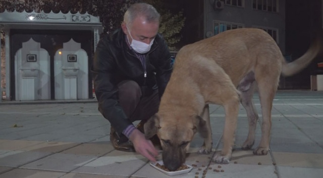 Belediye başkanı, kısıtlamada aç kalan köpekleri elleriyle besledi