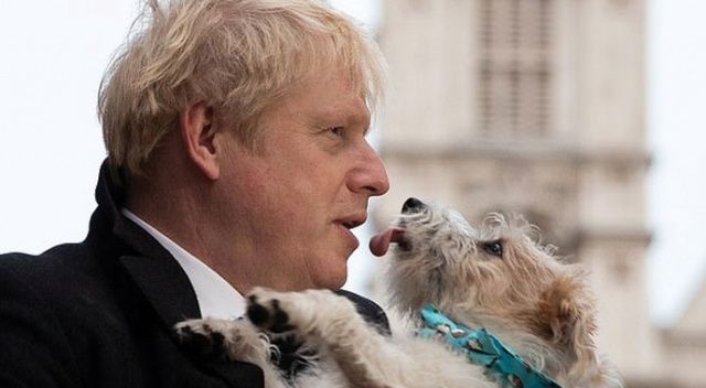 Boris Johnson’un köpeği de onunla birlikte koronavirüse yakalanmış