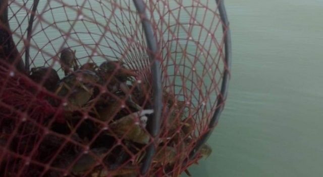 Eğirdir Gölü’nde kaçak kerevit avına geçit verilmiyor