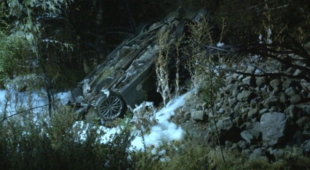 Otomobil 10 metreden uçtu, 2 kişi yanarak hayatını kaybetti