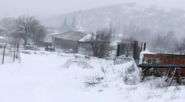 Balkan köylerinde kar yağışı hayatı felç etti
