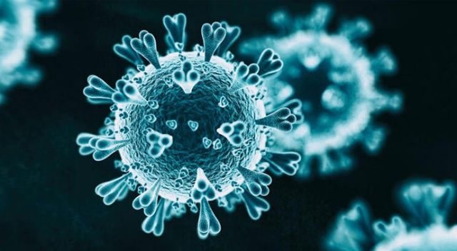 Fransa Sağlık Bakanı Veran: Günlük mutasyon virüs vakası 2 binin üzerinde