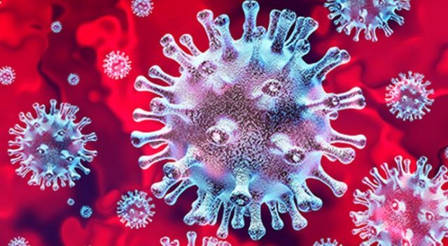 Hızlı bulaşan koronavirüs türü ABD&#039;de görüldü