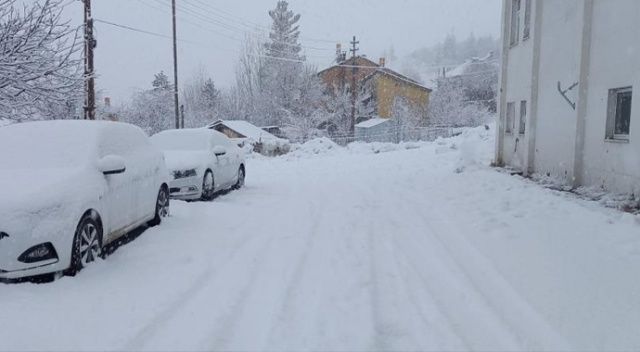Kar bastırdı, 160 köy yolu kapandı