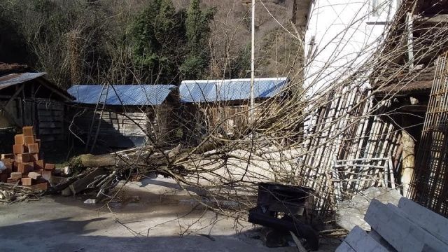 Kastamonu’da fırtına ağaçları devirdi, çatıları uçurdu