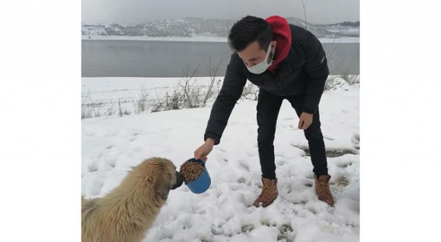 Osmaneli Belediyesi karlı havada sokak hayvanlarını unutmadı