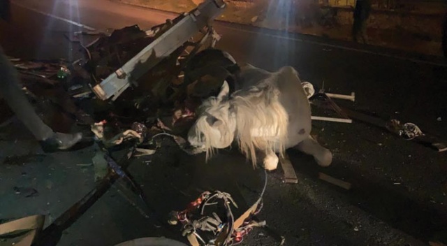Otomobilin çarptığı at arabasının sürücüsü öldü, at yaralandı