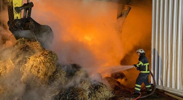 Kırklareli&#039;nde hayvan çiftliğinde çıkan yangına müdahale ediliyor