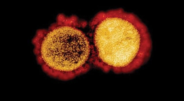&#039;Çift mutant&#039; koronavirüs varyantı ABD’ye sıçradı