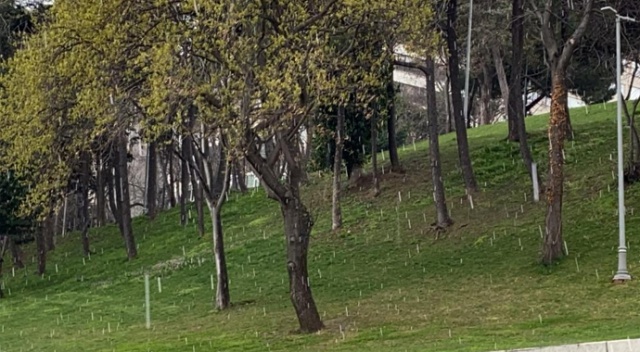 İstanbul’da dolu ve sulu kar sürprizi
