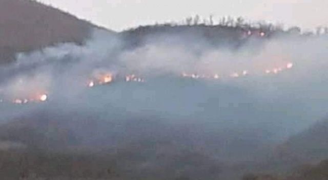 İzmir&#039;de orman yangını: 500 kestane ve meşe ağacı yandı
