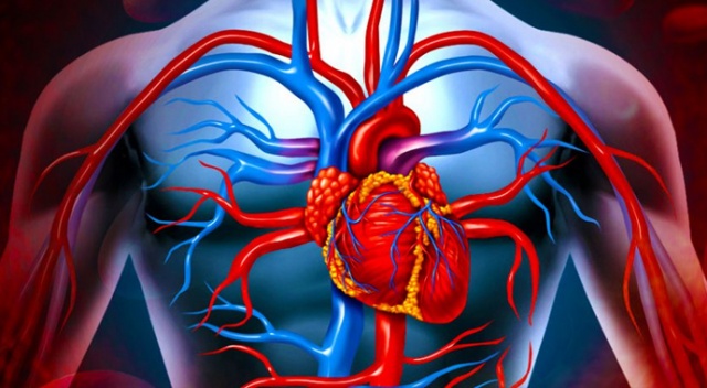 Kalp ve damar hastalıklarından korunmak mümkün