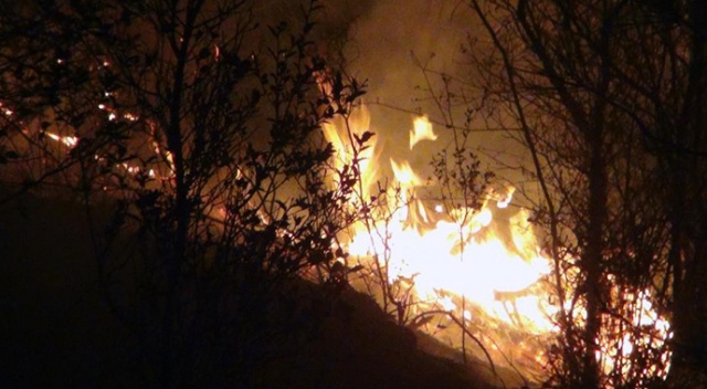 Muğla’daki yangınlar kontrol altına alındı