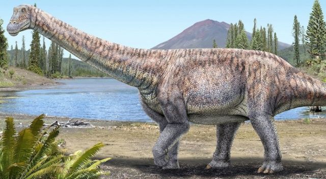 Şili’de yeni dinozor türü keşfedildi