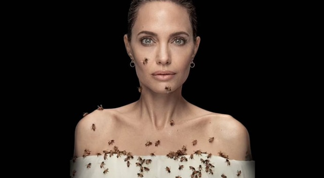 Angelina Jolie’den Dünya Bal Arısı Günü pozu! Arılar üzerinde uçuştu