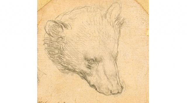 da Vinci&#039;nin ayı çizimine rekor kıymet