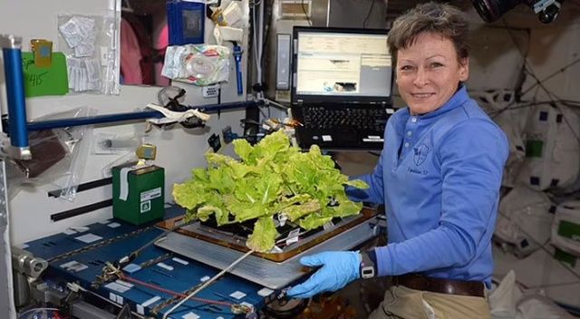 Emekli kadın astronot bu kez uzaya turist olarak gidecek