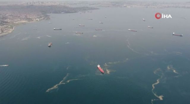İstanbul sahilleri salya doldu