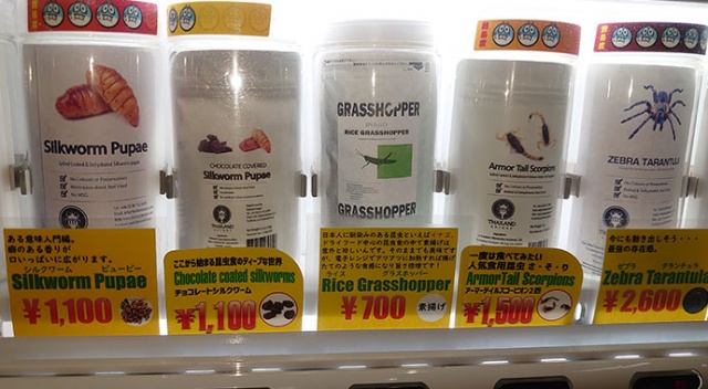 Japonya&#039;da atıştırmalık böcek satan otomata büyük ilgi