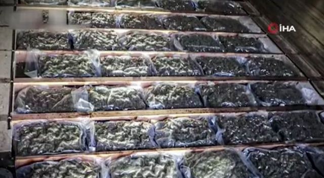 Karnabahar tırında 1 milyon euroluk marihuana ele geçirildi