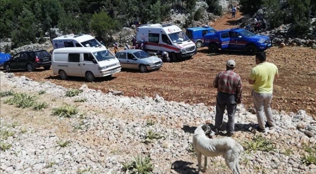Çadırda dehşet: Acı gerçeği koyunlar ortaya çıkardı