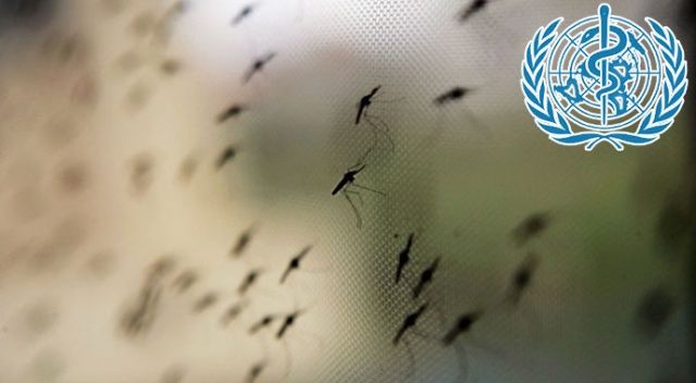 DSÖ: Çin sıtmadan tamamen arındırıldı