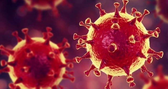 27 temmuz koronavirüs vaka tablosu