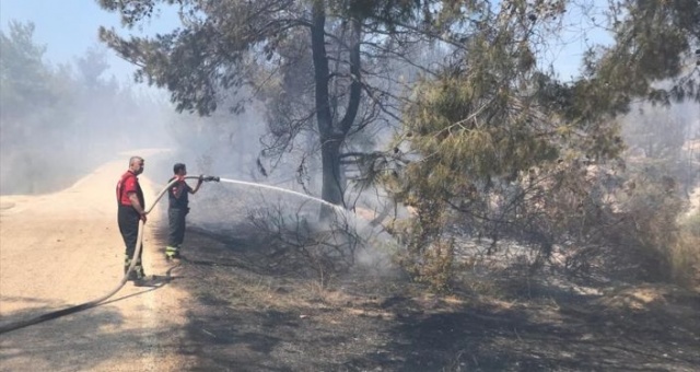 Bakan Pakdemirli&#039;den Adana&#039;daki orman yangını hakkında açıklama