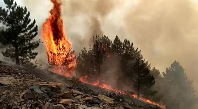 Elazığ&#039;da orman yangını çıktı, çok sayıda ekip müdahale ediyor