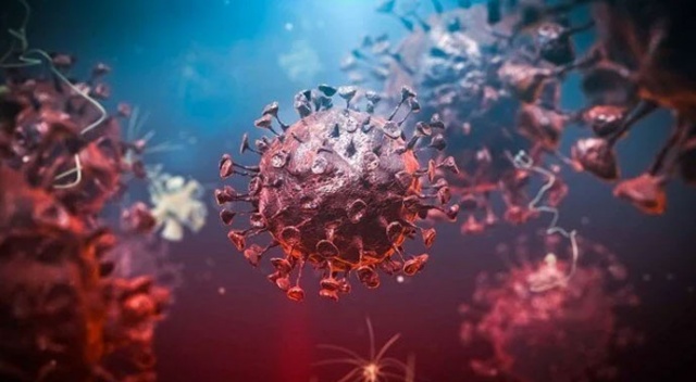 İngiltere&#039;de yeni bir koronavirüs varyantı tespit edildi