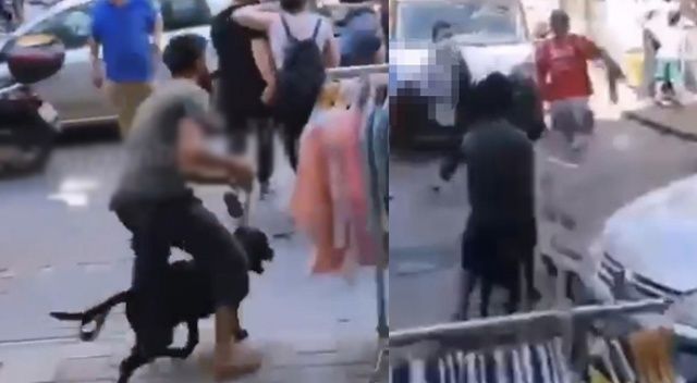 İstanbul’un göbeğinde labrador retriever dehşeti