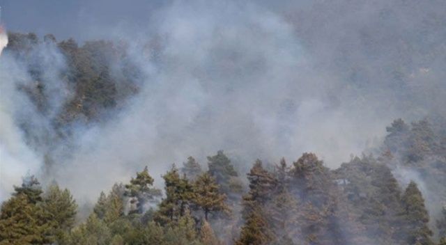 İtalya&#039;nın Sardinya Adası&#039;ndaki yangın: 1500&#039;den fazla kişi tahliye edildi