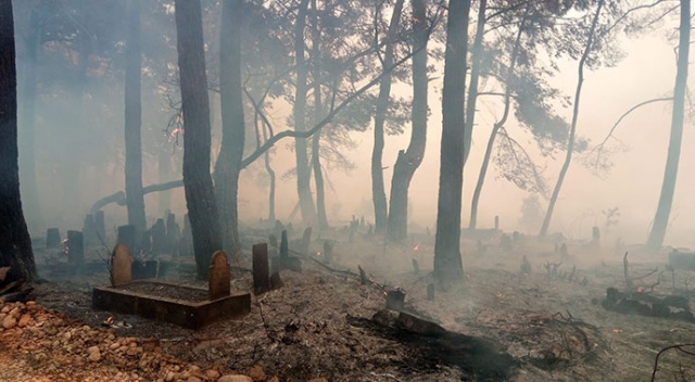 Manavgat&#039;ta seralar yandı, mezarlıklar küle döndü