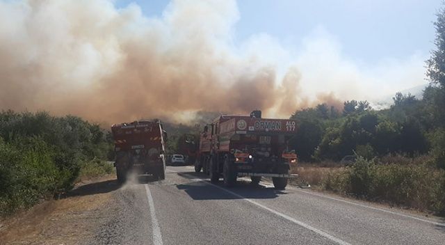 Osmaniye&#039;de korkutan orman yangını