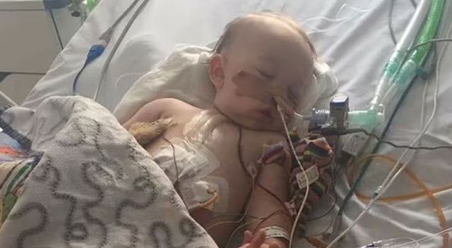 Pil yutan bebek, 28 ameliyattan sonra kurtuldu