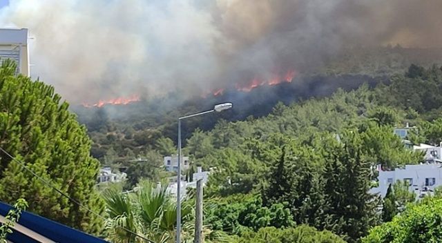 Bodrum&#039;da makilik ve ormanlık alanda yangın