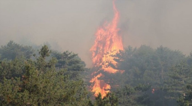 Denizli Buldan&#039;da orman yangını