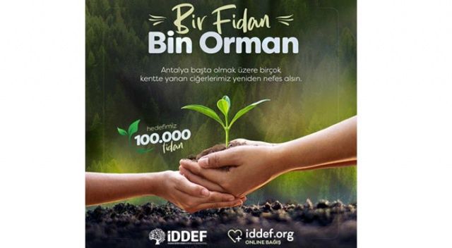 İDDEF&#039;ten &#039;Bir Fidan Bin Orman&#039; projesi