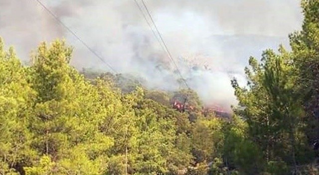 Muğla’da orman yangını! Havadan müdahale ediliyor