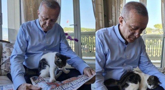 Cumhurbaşkanı Erdoğan&#039;ın torununun kedisiyle verdiği poz sosyal medyanın gündemine oturdu