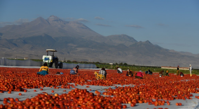 Kayseri&#039;de kurutulan domatesler renkli görüntüler oluşturdu
