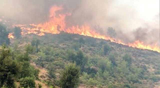 Orman Genel Müdürlüğü&#039;nden yangınlar hakkında açıklama