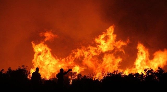 Orman Genel Müdürlüğü&#039;nden yangınlar hakkında açıklama