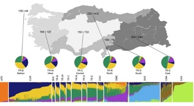Türk toplumunun genetik kodlarına ışık tutan araştırma sonuçlandı