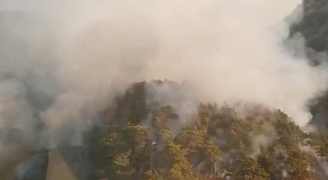 Antalya&#039;da orman yangını: Müdahale sürüyor